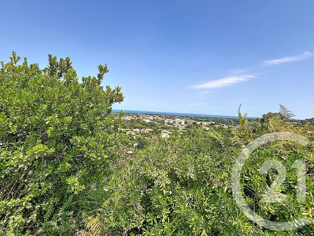 maison à vendre - 4 pièces - 112.0 m2 - PENTA DI CASINCA - 202 - CORSE - Century 21 Paoli Immobilier