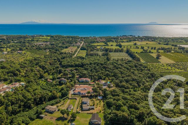 maison à vendre - 4 pièces - 155.0 m2 - SANTA MARIA POGGIO - 202 - CORSE - Century 21 Paoli Immobilier