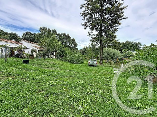 terrain à vendre - 2100.0 m2 - SANTA LUCIA DI MORIANI - 202 - CORSE - Century 21 Paoli Immobilier