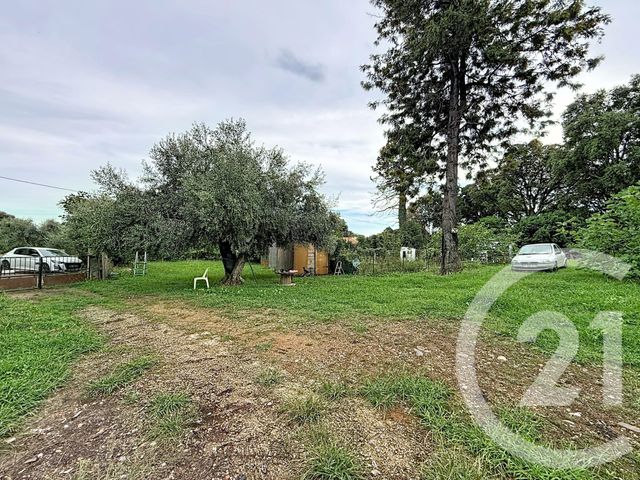 terrain à vendre - 2100.0 m2 - SANTA LUCIA DI MORIANI - 202 - CORSE - Century 21 Paoli Immobilier