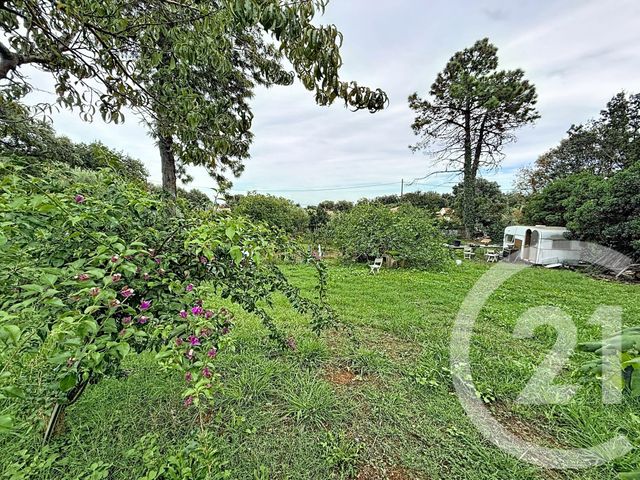 terrain à vendre - 2100.0 m2 - SANTA LUCIA DI MORIANI - 202 - CORSE - Century 21 Paoli Immobilier