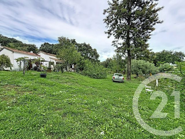 terrain à vendre - 2100.0 m2 - SANTA LUCIA DI MORIANI - 202 - CORSE - Century 21 Paoli Immobilier