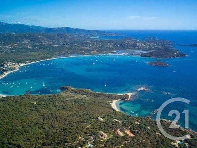 Afficher la photo en grand Appartement F2 à vendre - 2 pièces - 24.5 m2 - PORTO VECCHIO - 20 - CORSE - Century 21 Paoli Immobilier