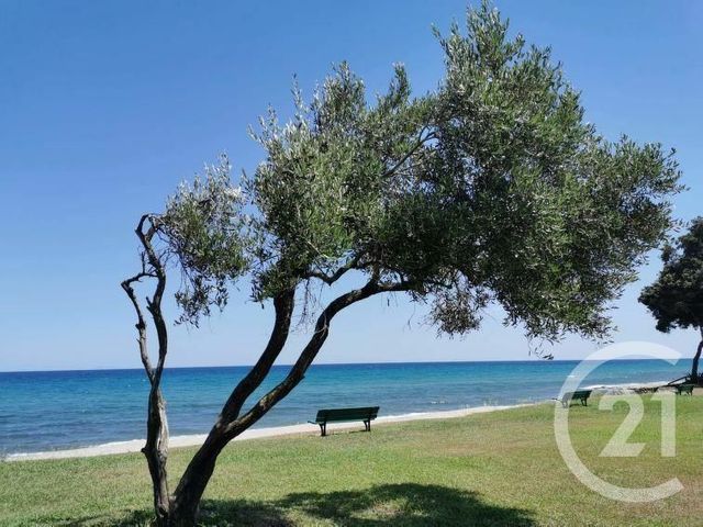 appartement - CERVIONE - 20