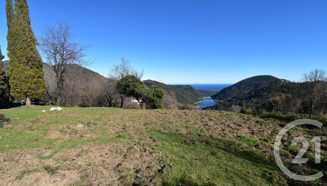 terrain à vendre - 1466.0 m2 - PIETRA DI VERDE - 202 - CORSE - Century 21 Paoli Immobilier