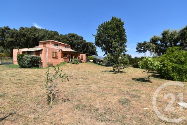 maison - SANTA LUCIA DI MORIANI - 20