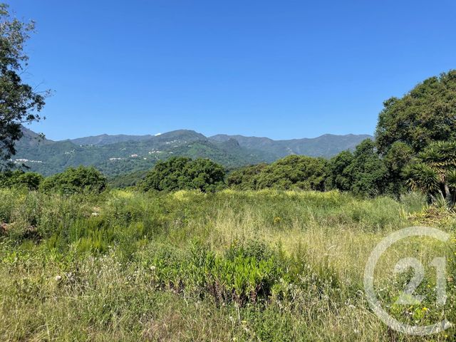 terrain à vendre - 8142.0 m2 - SANTA LUCIA DI MORIANI - 202 - CORSE - Century 21 Paoli Immobilier