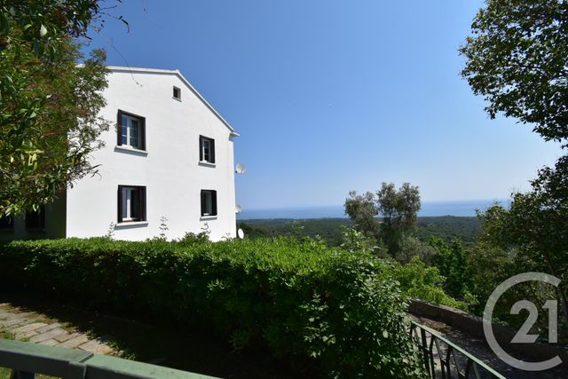 appartement - CERVIONE - 202