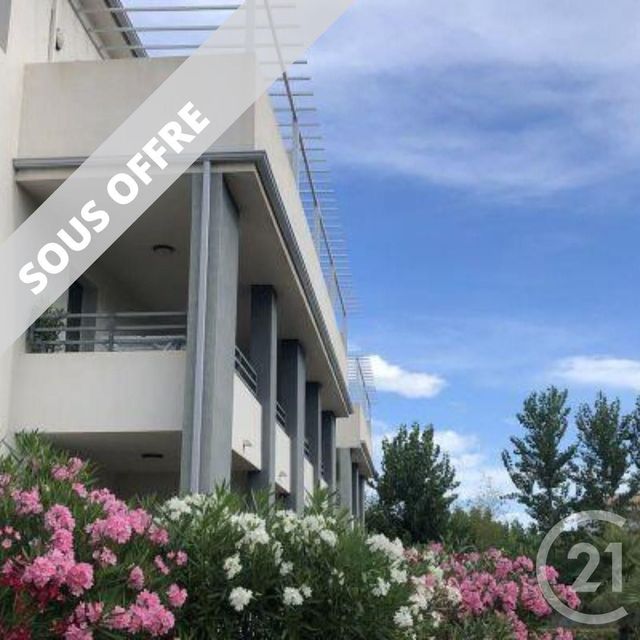 appartement - SAN NICOLAO - 20