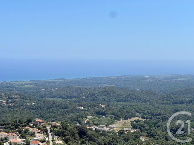 Appartement F4 à vendre - 4 pièces - 83.97 m2 - CERVIONE - 202 - CORSE - Century 21 Paoli Immobilier