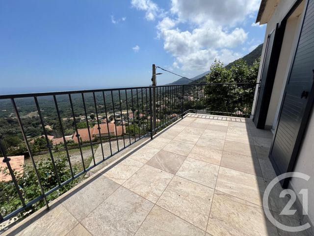 appartement - CERVIONE - 202