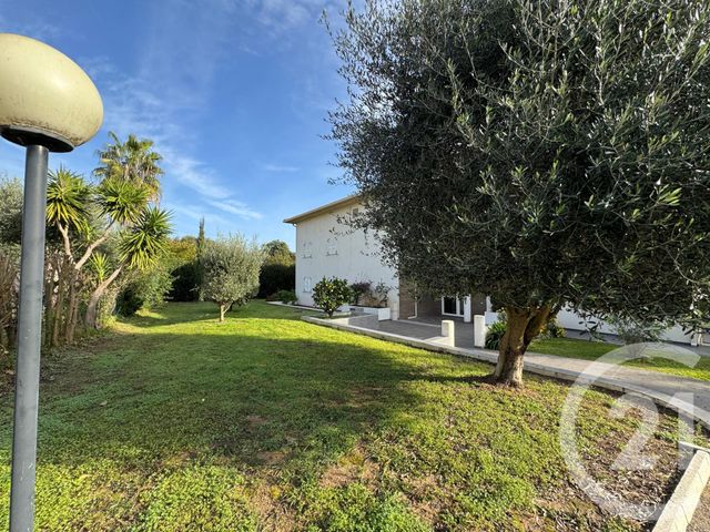 appartement - SANTA LUCIA DI MORIANI - 202