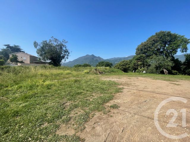 terrain à vendre - 4132.0 m2 - SANTA LUCIA DI MORIANI - 202 - CORSE - Century 21 Paoli Immobilier
