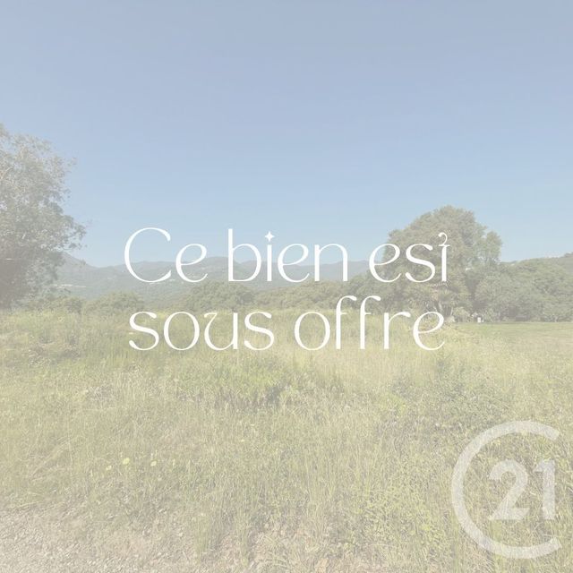 terrain - SANTA LUCIA DI MORIANI - 202