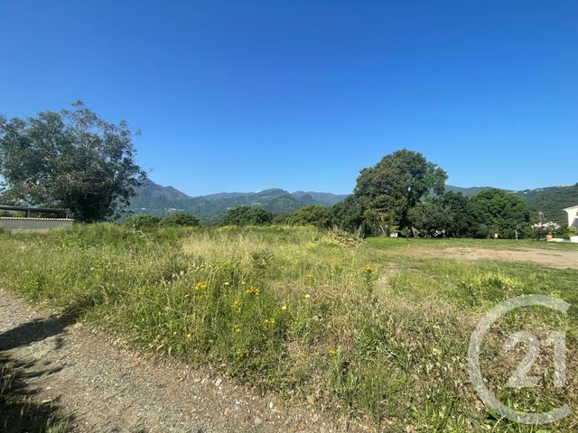 terrain à vendre - 4132.0 m2 - SANTA LUCIA DI MORIANI - 202 - CORSE - Century 21 Paoli Immobilier