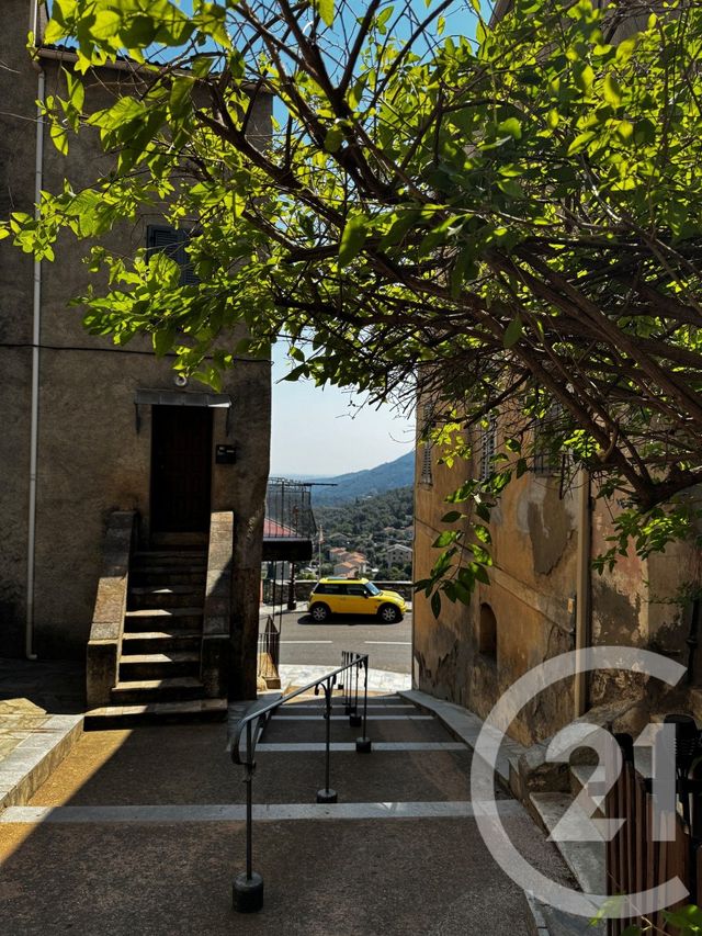 appartement - CERVIONE - 202