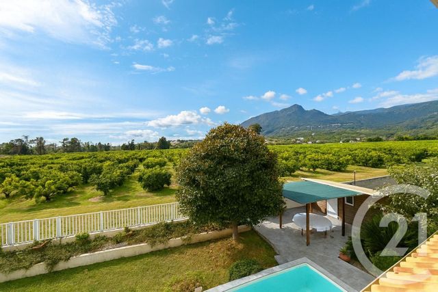maison à vendre - 4 pièces - 140.0 m2 - SANTA LUCIA DI MORIANI - 202 - CORSE - Century 21 Paoli Immobilier