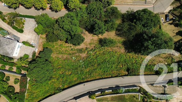 terrain à vendre - 3000.0 m2 - PENTA DI CASINCA - 202 - CORSE - Century 21 Paoli Immobilier