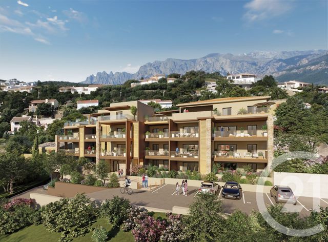 Appartement F1 à vendre SARI SOLENZARA
