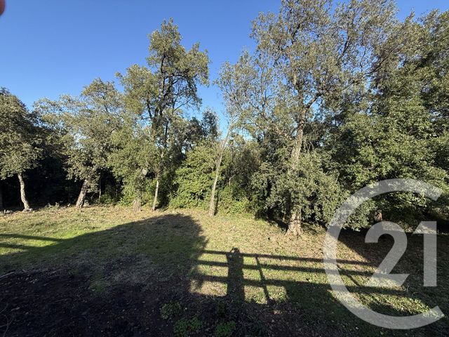 maison à vendre - 5 pièces - 214.0 m2 - SANTA MARIA POGGIO - 202 - CORSE - Century 21 Paoli Immobilier