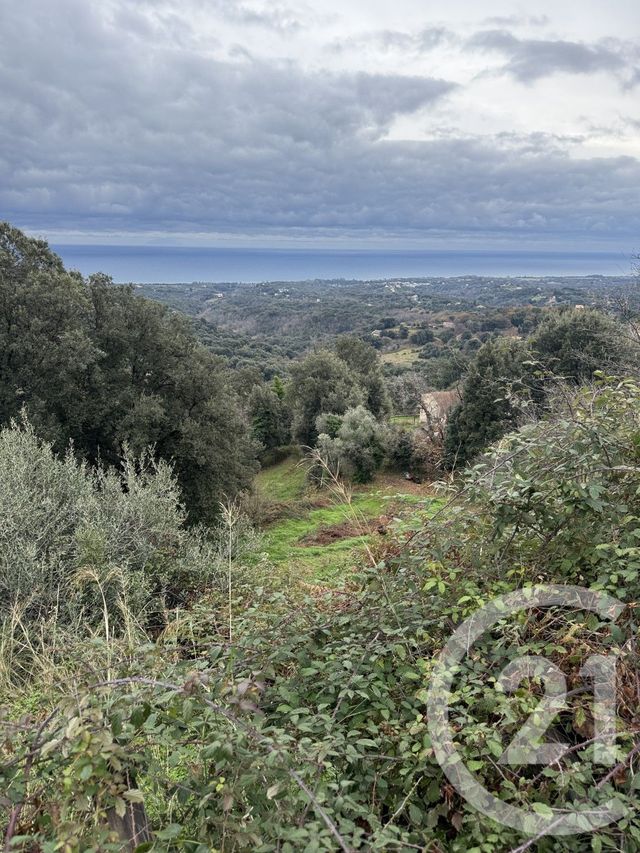 Terrain à vendre CERVIONE