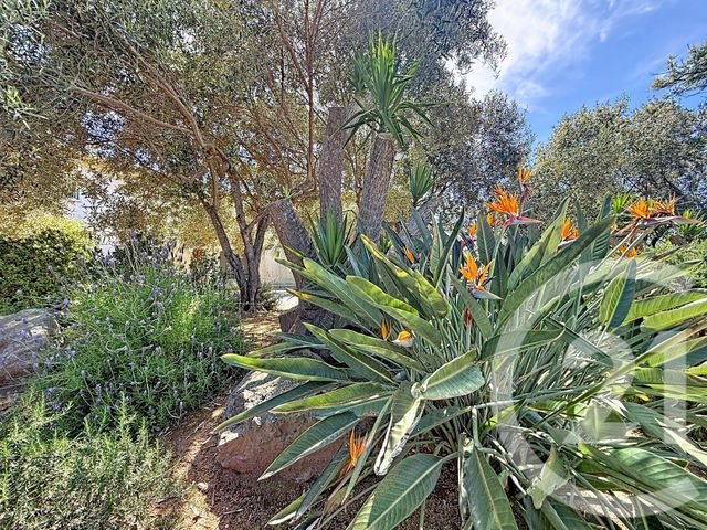 Appartement T3 à vendre - 3 pièces - 80.0 m2 - SANTA LUCIA DI MORIANI - 202 - CORSE - Century 21 Paoli Immobilier