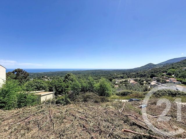 terrain à vendre - 630.0 m2 - CERVIONE - 202 - CORSE - Century 21 Paoli Immobilier