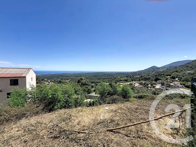 terrain à vendre - 630.0 m2 - CERVIONE - 202 - CORSE - Century 21 Paoli Immobilier