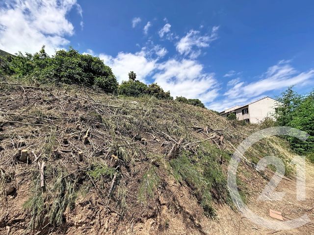 terrain à vendre - 630.0 m2 - CERVIONE - 202 - CORSE - Century 21 Paoli Immobilier