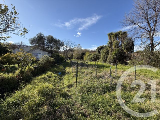 terrain à vendre - 2395.0 m2 - SANTA LUCIA DI MORIANI - 202 - CORSE - Century 21 Paoli Immobilier