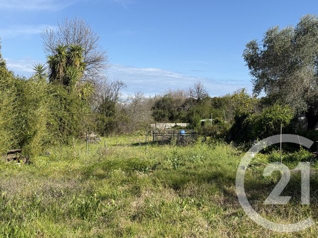 terrain à vendre - 2395.0 m2 - SANTA LUCIA DI MORIANI - 202 - CORSE - Century 21 Paoli Immobilier