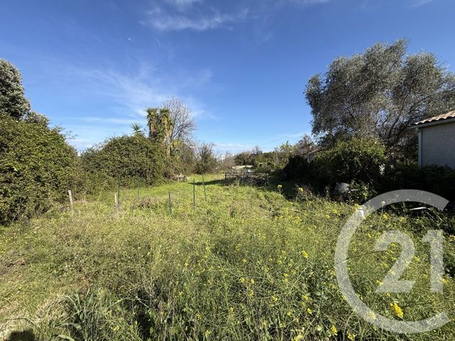 terrain à vendre - 2395.0 m2 - SANTA LUCIA DI MORIANI - 202 - CORSE - Century 21 Paoli Immobilier