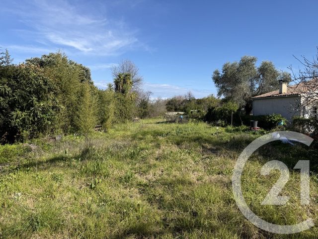 terrain à vendre - 2395.0 m2 - SANTA LUCIA DI MORIANI - 202 - CORSE - Century 21 Paoli Immobilier