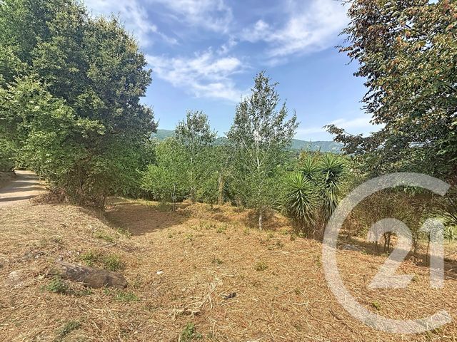 terrain à vendre - 2000.0 m2 - SAN NICOLAO - 202 - CORSE - Century 21 Paoli Immobilier