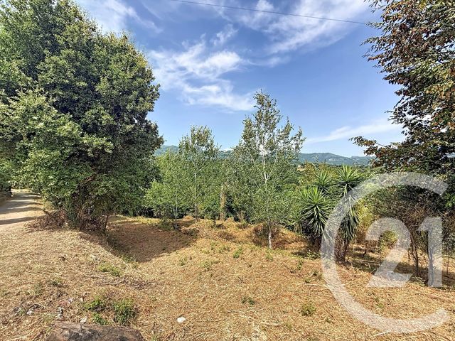 terrain à vendre - 2000.0 m2 - SAN NICOLAO - 202 - CORSE - Century 21 Paoli Immobilier