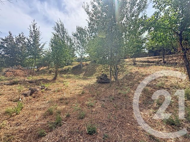 terrain à vendre - 2000.0 m2 - SAN NICOLAO - 202 - CORSE - Century 21 Paoli Immobilier