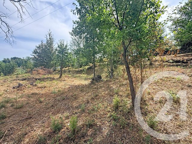 terrain à vendre - 2000.0 m2 - SAN NICOLAO - 202 - CORSE - Century 21 Paoli Immobilier