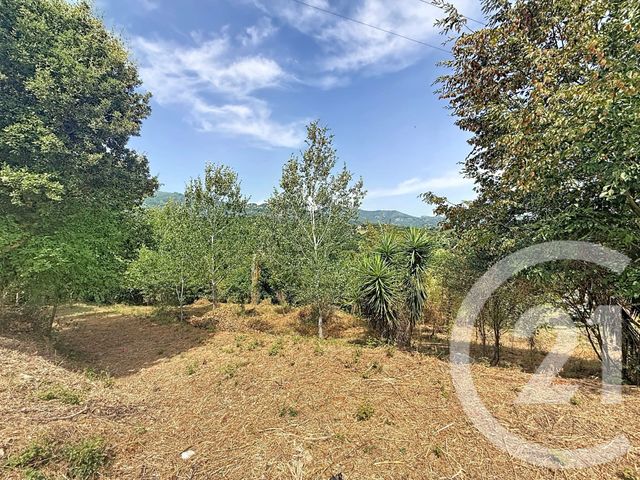 terrain à vendre - 2000.0 m2 - SAN NICOLAO - 202 - CORSE - Century 21 Paoli Immobilier