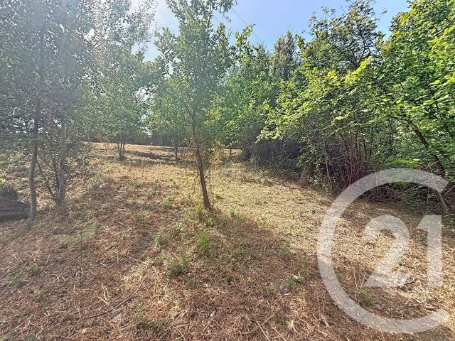 terrain à vendre - 2000.0 m2 - SAN NICOLAO - 202 - CORSE - Century 21 Paoli Immobilier