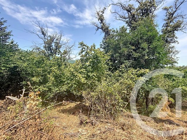 terrain à vendre - 2000.0 m2 - SAN NICOLAO - 202 - CORSE - Century 21 Paoli Immobilier