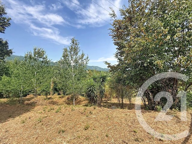 terrain à vendre - 2000.0 m2 - SAN NICOLAO - 202 - CORSE - Century 21 Paoli Immobilier